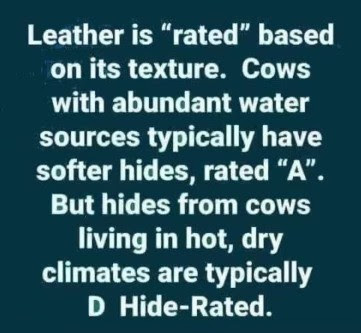 Joke-Leather-Hides