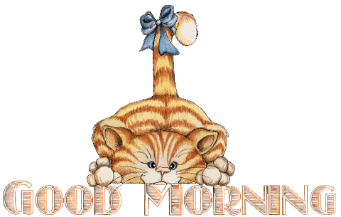 Cat-Tail-Good-Morning