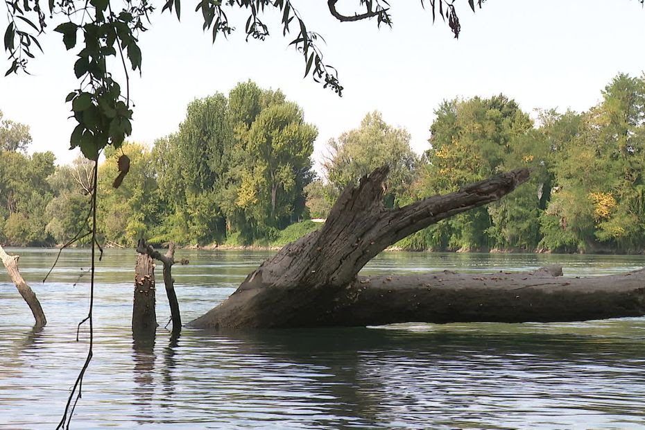 Projet de barrage abandonné sur le Rhône : 'On ne veut pas en rester là', les opposants demandent la protection définitive du fleuve