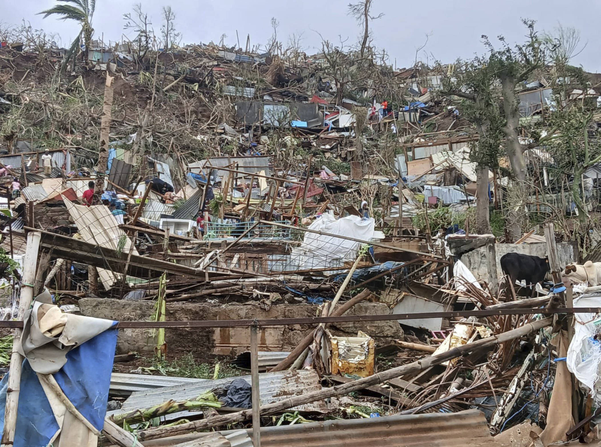 Mayotte : les bidonvilles dévastés par le cyclone Chido