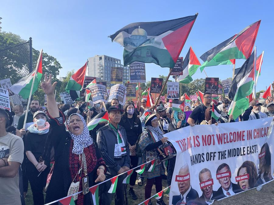 Protestors rally for a pro-Palestine demonstration.