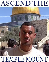 ascend-the-temple-mount-548-nwslttr