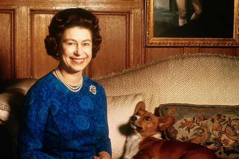 The Late Queen's Corgis