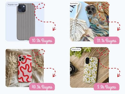 Phone Case Profits