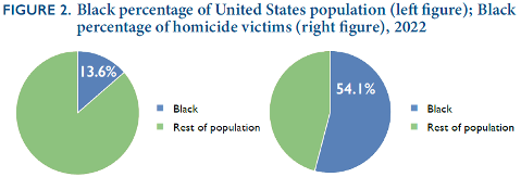 Black Homicide Population Comparison.png