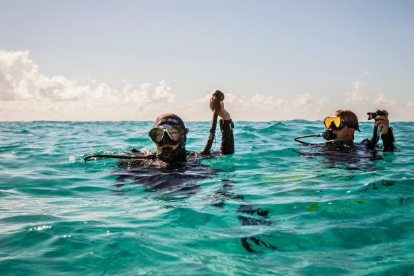 Return to Diving Safely
