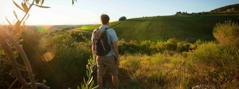 Camminatore di spalle che osserva il panorama toscano di colline e vigneti 