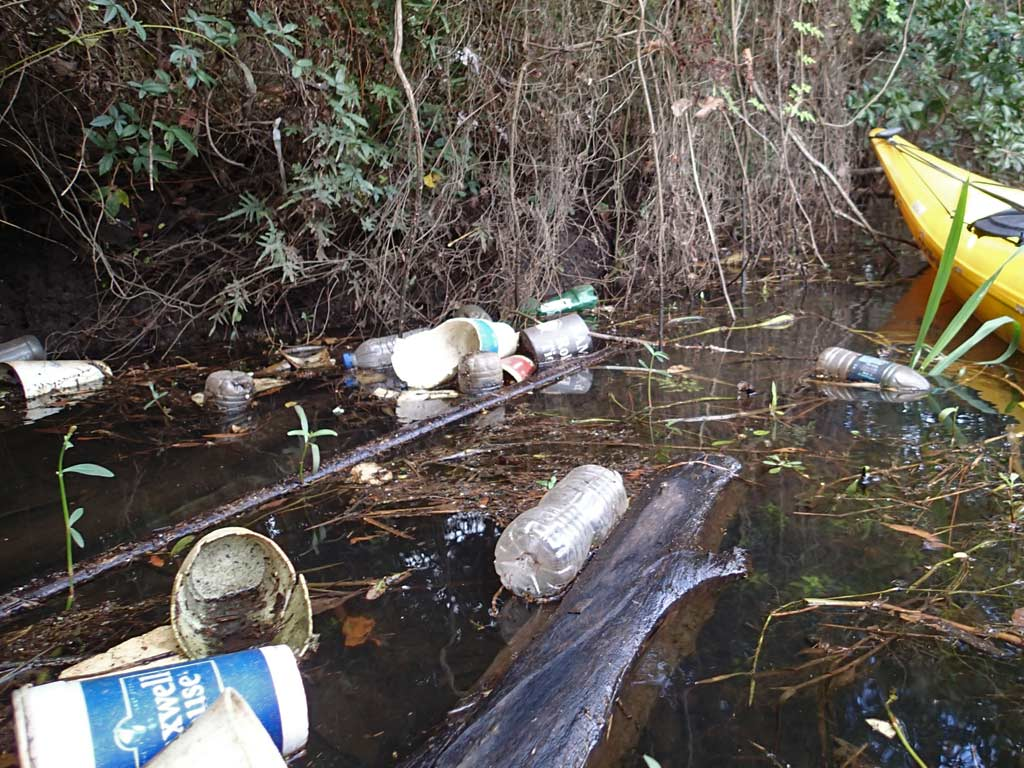 Litter impairs Beargrass Creek