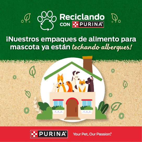 Recicla tus empaques y ayúdanos a crear un mundo mejor