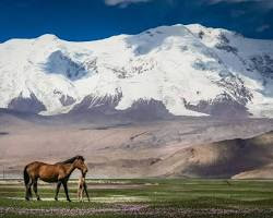 Image de Khustain Nuruu National Park in Mongolia