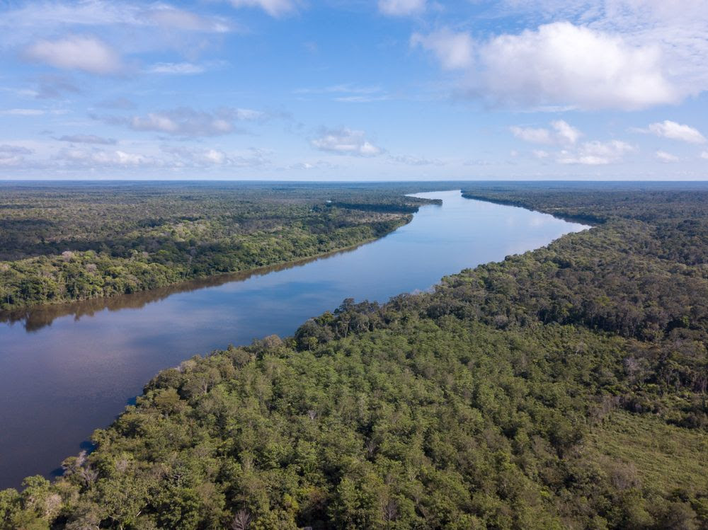 Vue aérienne du fleuve Xingu dans la forêt tropicale amazonienne au Brésil