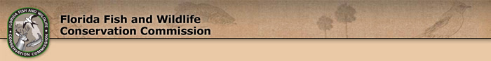 Florida Fish and Wildlife Conservation Commission banner graphic
