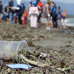 plastic cup on a sea shore