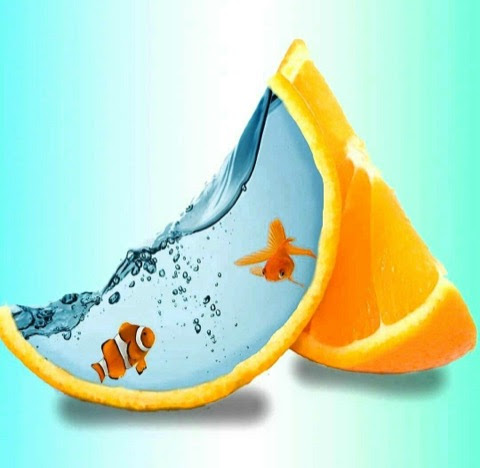 Fish-in-an-orange