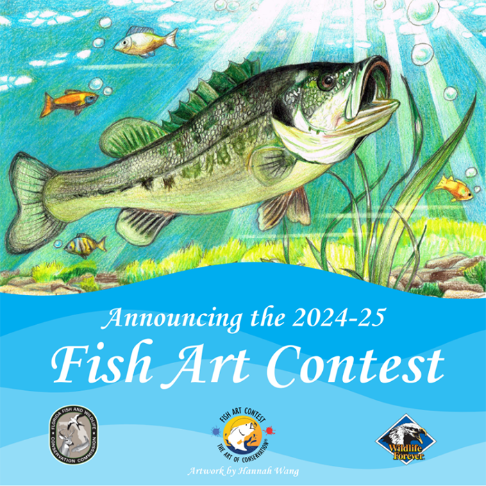 Announcing the 2024-25 Fish Art Contest poster including the FWC, Fish Art Contest, and Wildlife Forever branded logos.