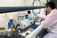 Bryan Cormack, fisheries biologist at the Alaska Fisheries Science Center, uses a multi-channel pipette.  Credit: NOAA Fisheries/Cody Pinger.