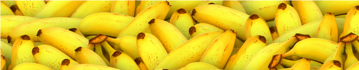 Decorative banner of bananas.