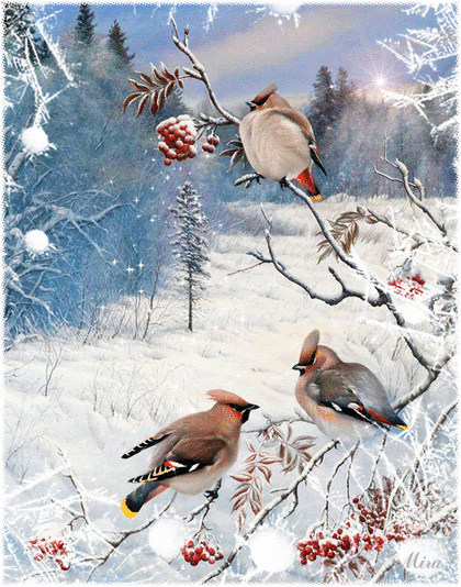 5SvRycn2Ir3LuEb6PBlD34blr7IWE-qVsQq1lzFl6Lv_RRQ5XRgknZDlolgZKM5T.gif