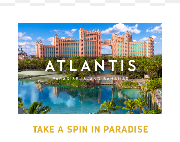 TAKE A SPIN IN PARADISE