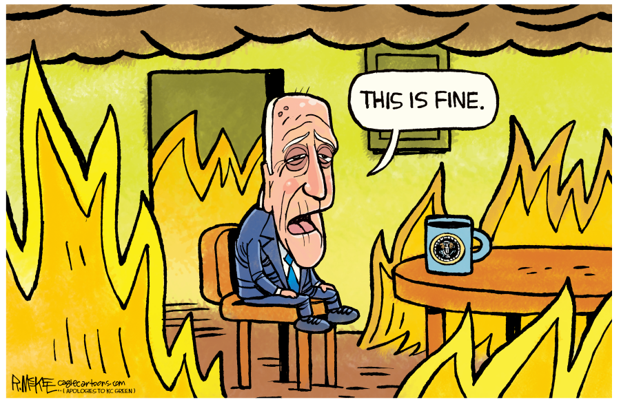 Cartoon of Joe Biden is room of fire.