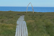 Grassy area with water in the background