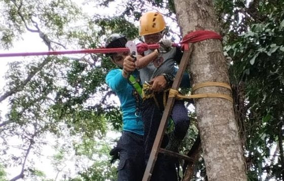 Niños bomberos de Barinas se forman enfocados en la protección del ambiente