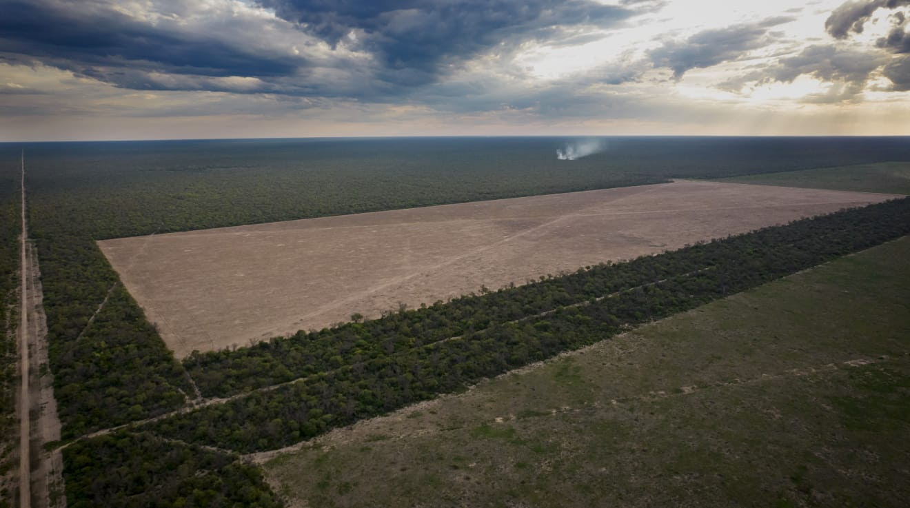 Deforestación del bosque de Chaco en la provincia de Chaco, Argentina