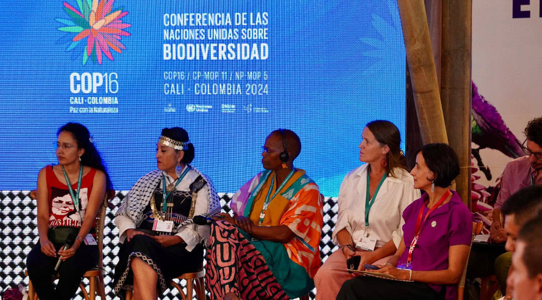 Los gobiernos central y autonómicos no están suficientemente comprometidos en detener la pérdida de biodiversidad en 2030