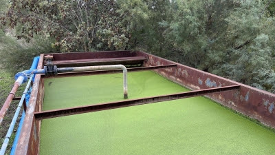 Investigadores del Imidra buscan cómo eliminar residuos farmacéuticos en el agua con plantas y microorganismos