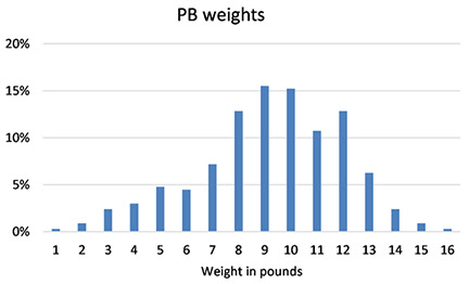 Personal Best (PB) weights graph