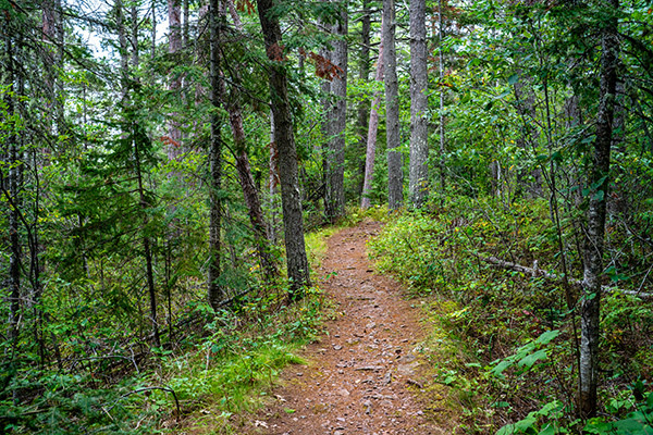 Fort Wilkins State Park trail