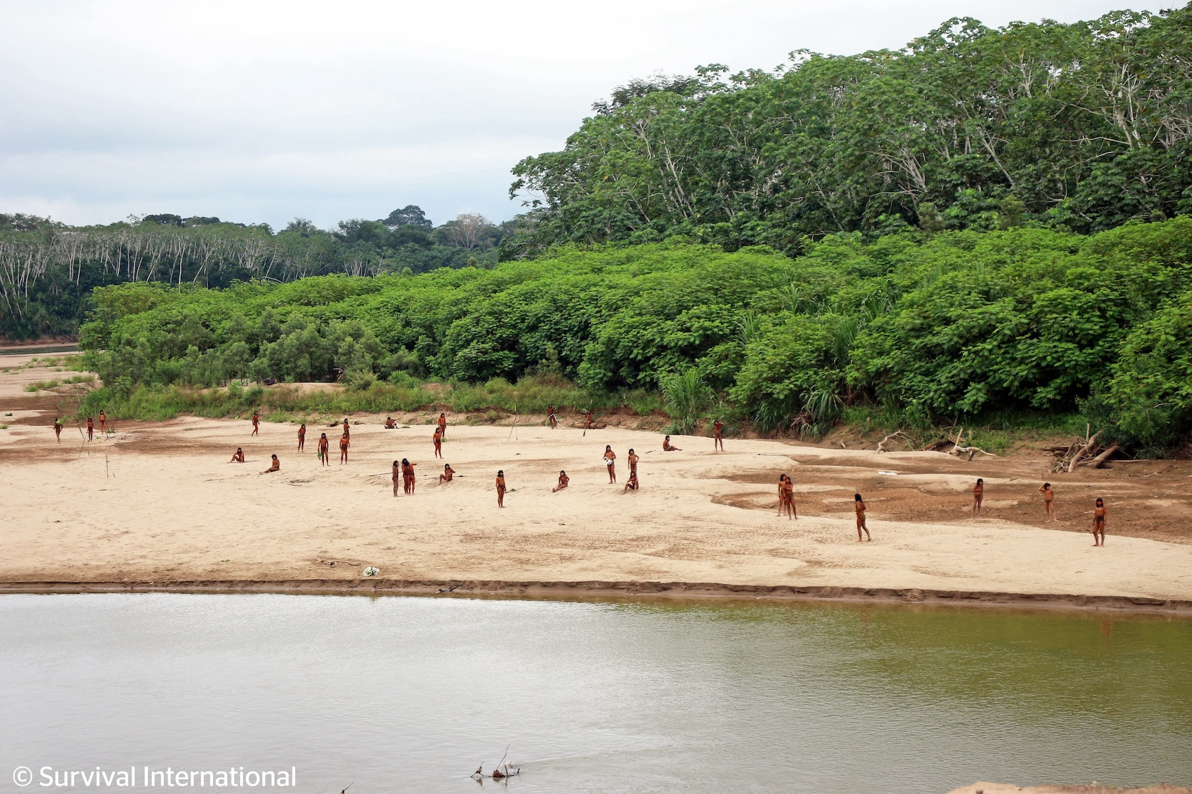 Mashco Piro people on a riverbank