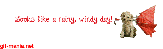 a_rainy,_windy_day