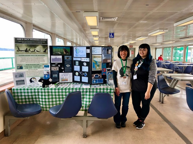 Two people posing for a photo next to posterboards about orcas set up on a table in the passenger cabin of a ferry
