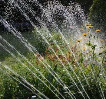 A sprinkler arcs streams of water droplets over a green suburban yard. 