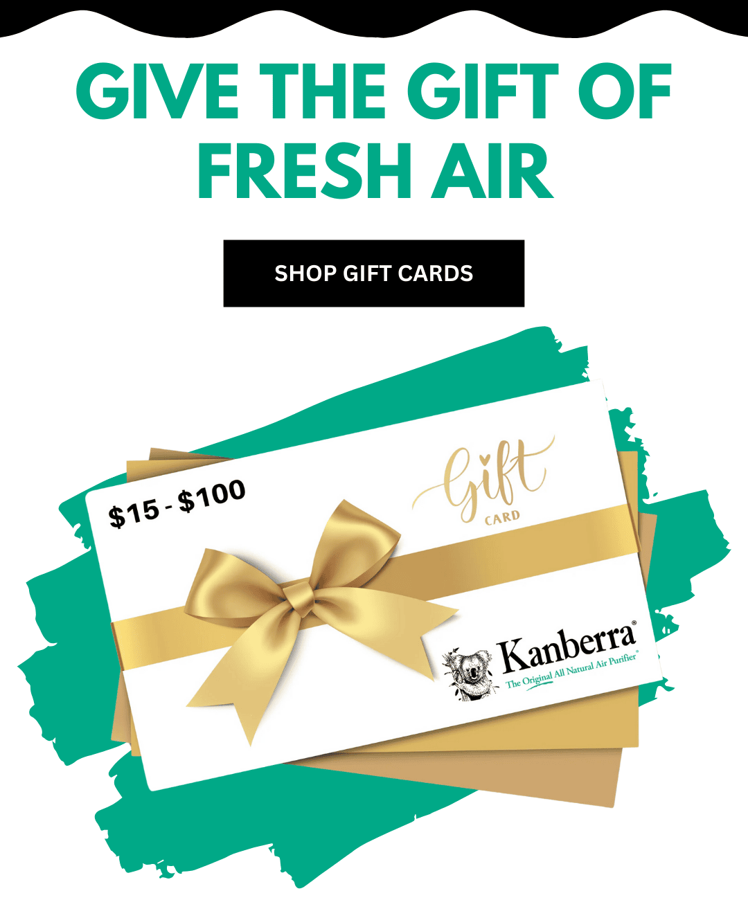 Give the Gift of Fresh Air