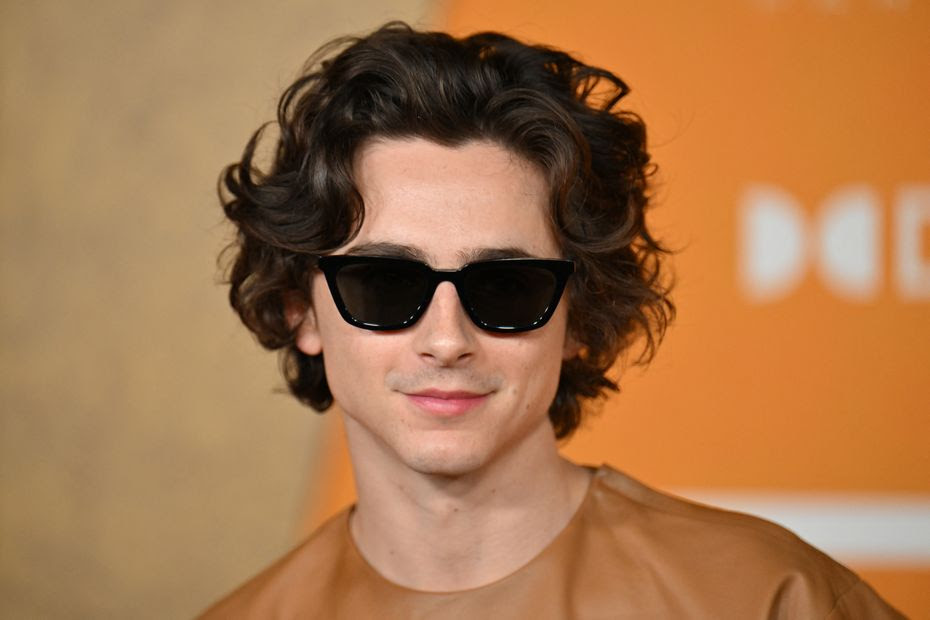 Timothée Chalamet: le plus célèbre supporter de l'AS Saint Etienne, une vie entre New York et le Chambon-sur-Lignon