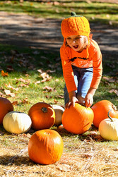 A child wearing a knit pumpkin hat smiles as she picks out a pumpkin.