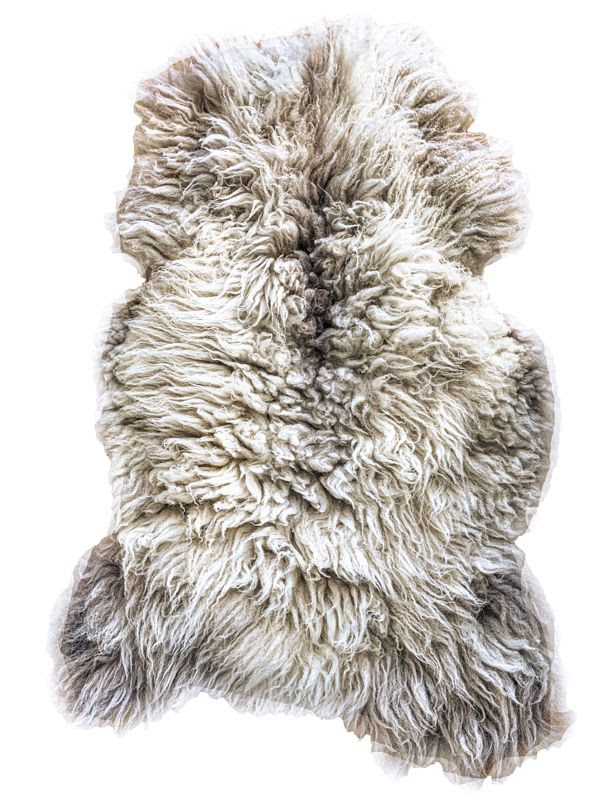 Sheep Pelt Giveaway