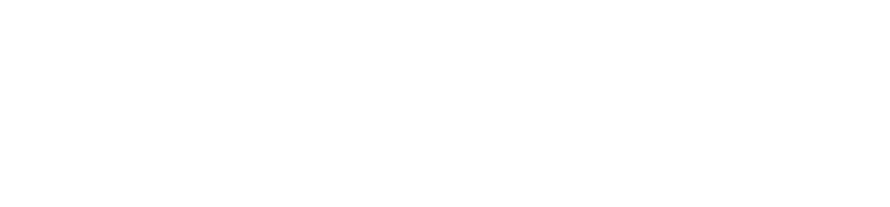 princess-logo-white-full-web-1