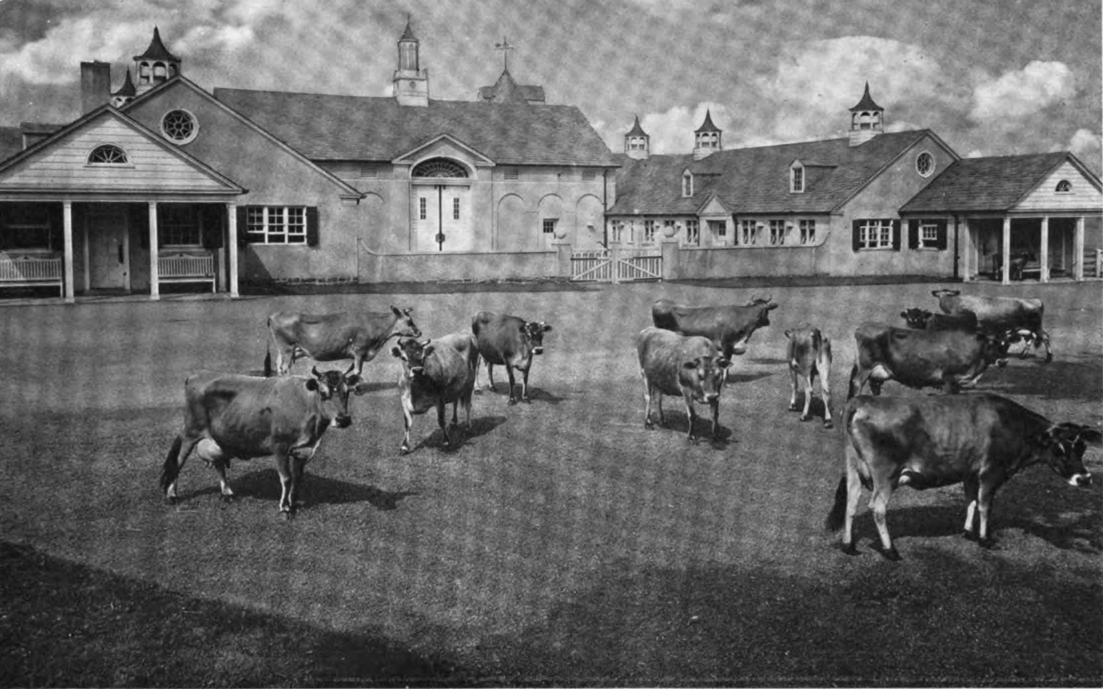 Image of Sheep Barn, Country Life Magazine Volume 44, 1923.