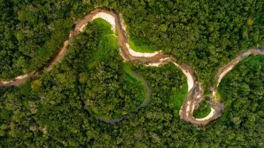 Aerial View of Amazon Rainforest