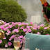  HOTEL DAS CATARATAS, A BELMOND HOTEL, INAUGURA TERRAÇO Y COM MENU DO PREMIADO CHEF LUIZ FILIPE SOUZA E PARCERIA COM MOËT & CHANDON