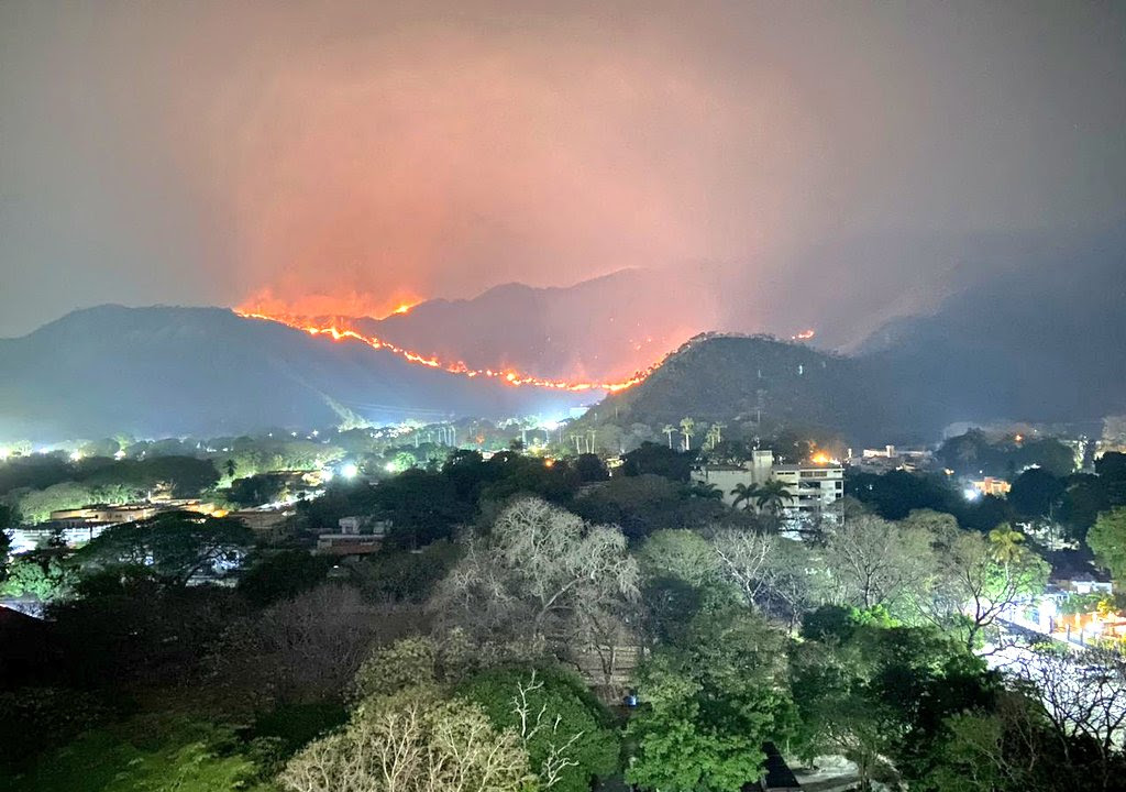 Los incendios empobrecen los suelos y destruyen hábitats. Foto: Sembramos Todos (X)