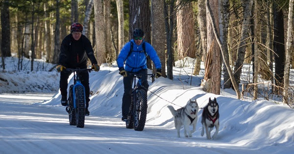 Two men in winter jackets, hats and gloves ride fat-tired bikes down a plowed, snowy road. One man has two huskies leashed to his bike