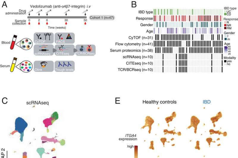 Unlocking predictors of success in treating inflammatory bowel disease (IBD)