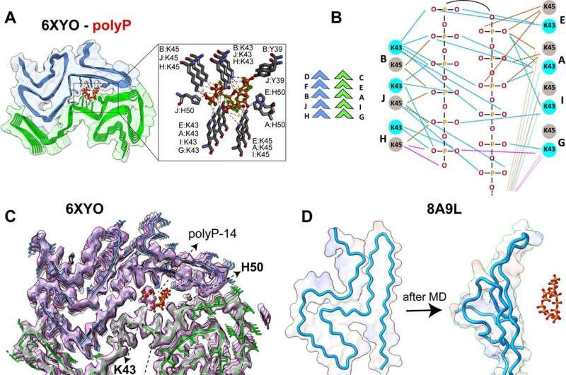 Finding a missing piece for neurodegenerative disease research