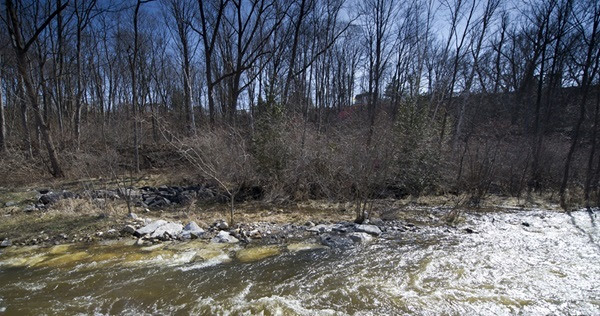 Water rushes through a shallow, low-lying, rocky river, against a tree-lined ridge with a pale blue sky showing through the trees