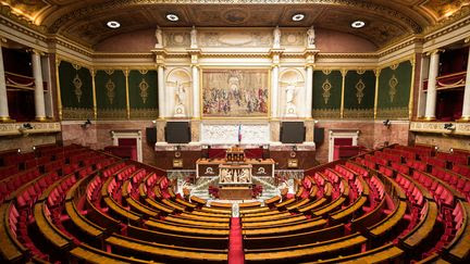 Après les législatives, on vous explique pourquoi les négociations sur les groupes à l'Assemblée nationale sont aussi cruciales