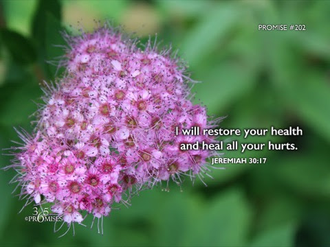 Grace-Restore-Heal